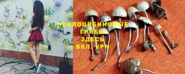 твердый Верея